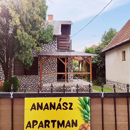 Ananasz Ferienhaus Mezőkövesd